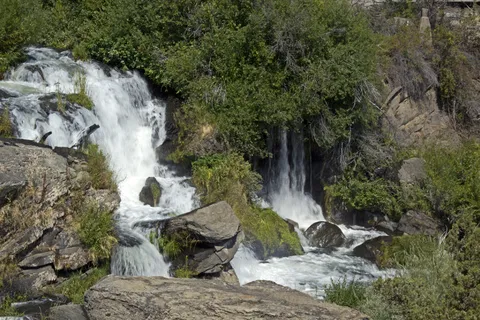 森林瀑布背景274