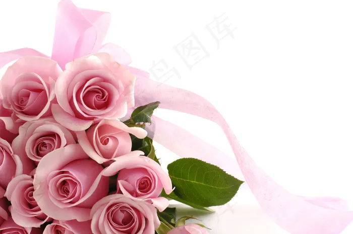 粉色玫瑰花静物设计素材