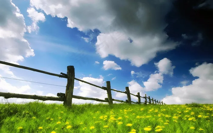 高清电脑桌面背景壁纸