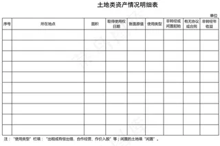 土地类资产情况明细表