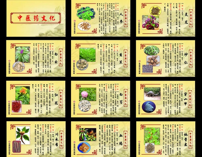 中医药文化展板图片(10205X8504(DPI:72))psd模版下载