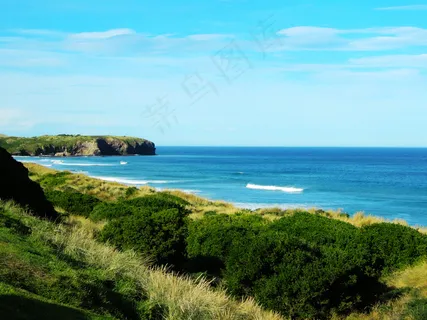 新西兰海滩图片