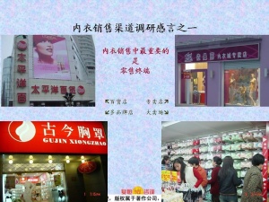 内衣销售渠道分析报告PPT模板预览图