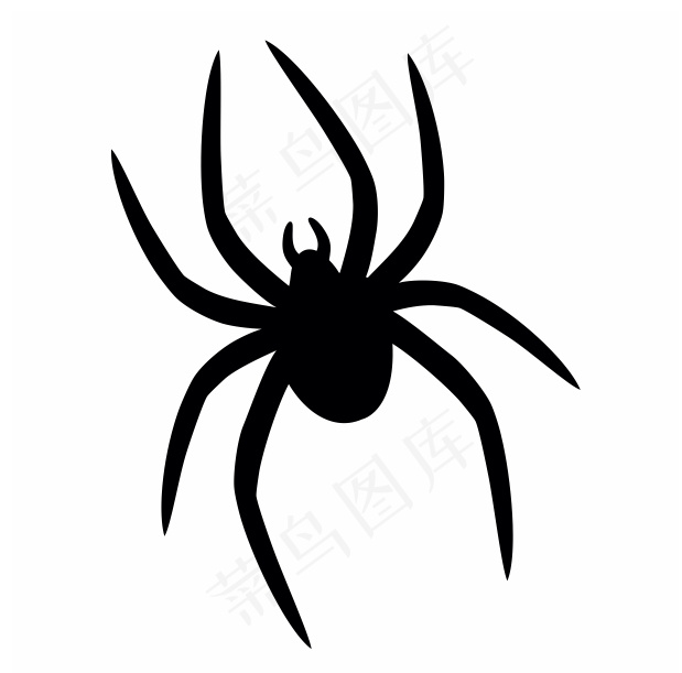 蜘蛛 黑色 CDR