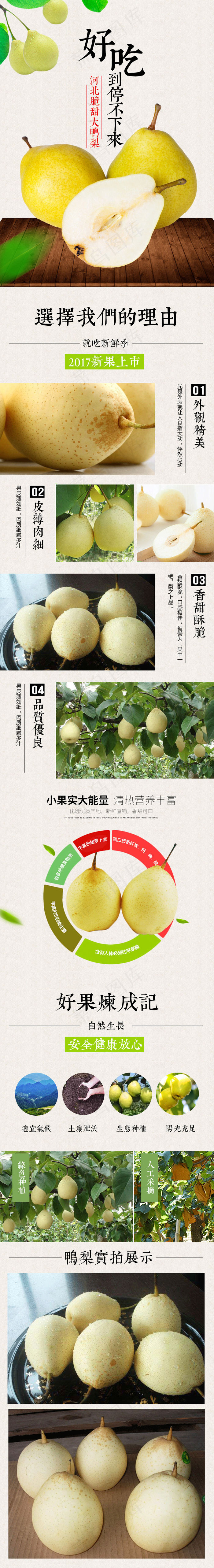 淘宝天猫河北大鸭梨细节详情页