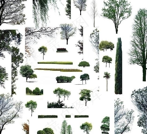 景观贴图图片