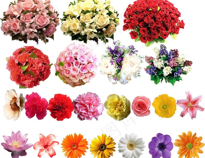 鲜花素材图片