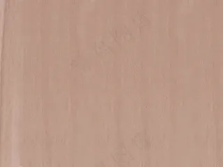 鞋架与鞋柜组合板式家具3dmax