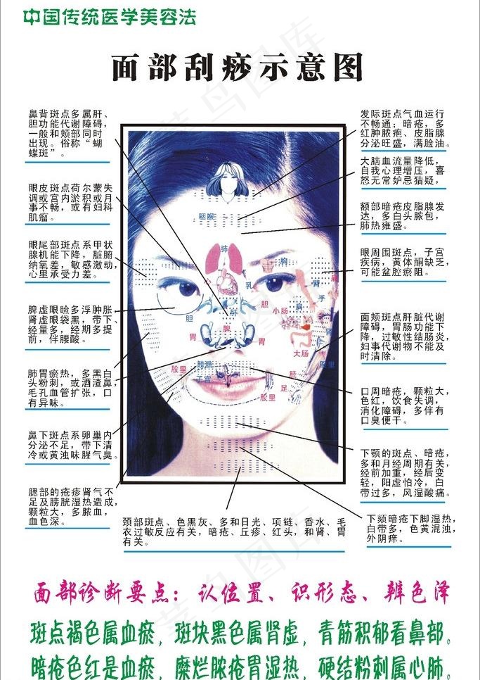 面部刮痧示意图图片cdr矢量模版下载