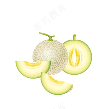 手绘水果店哈密瓜png免抠图片