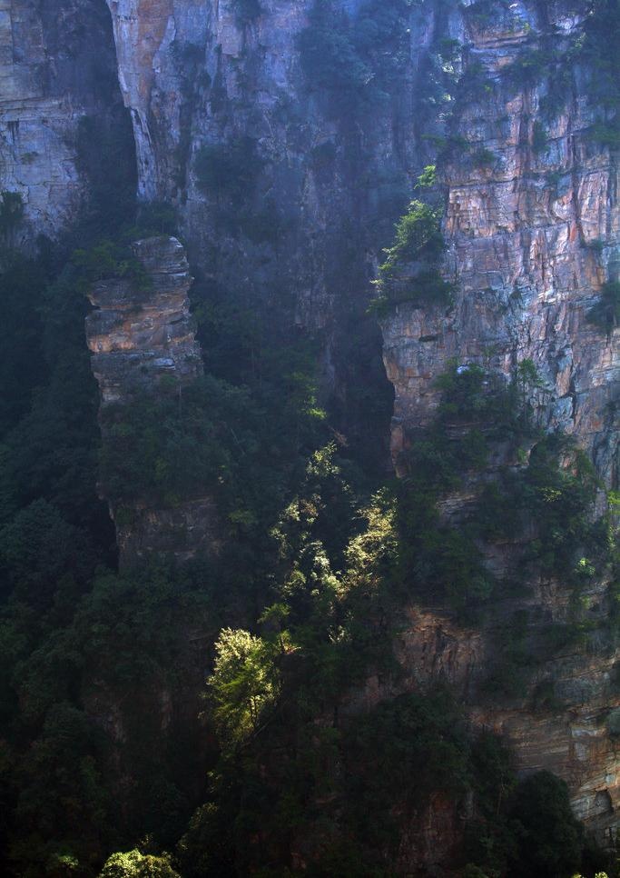 一米阳光图片
