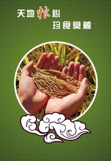 天地粮心图片