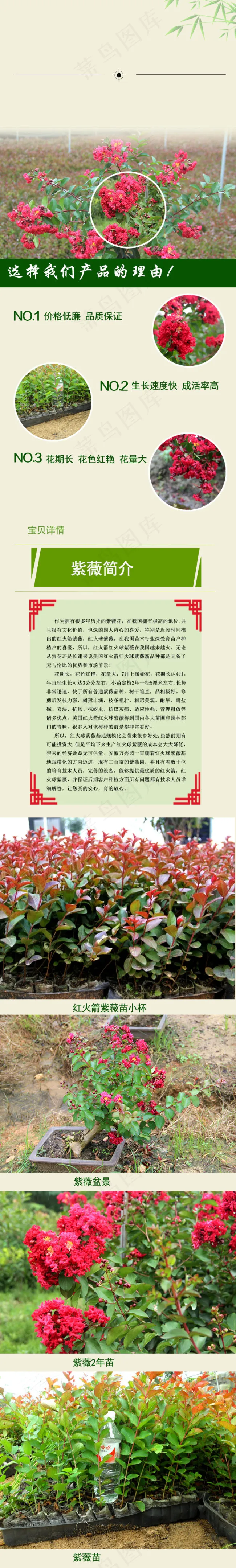 紫薇详情页psd模版下载