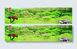 灵芝 仙草 补品图片