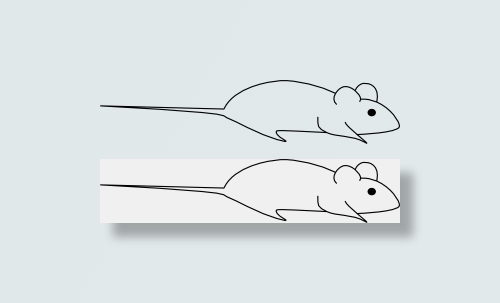 鼠标外形剪贴画