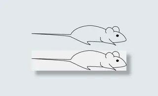 鼠标外形剪贴画