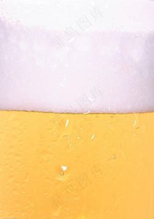 啤酒图片