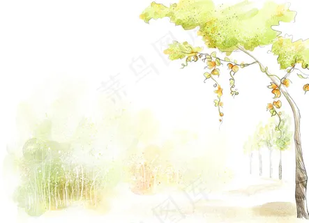 唯美的树藤 唯美的树藤