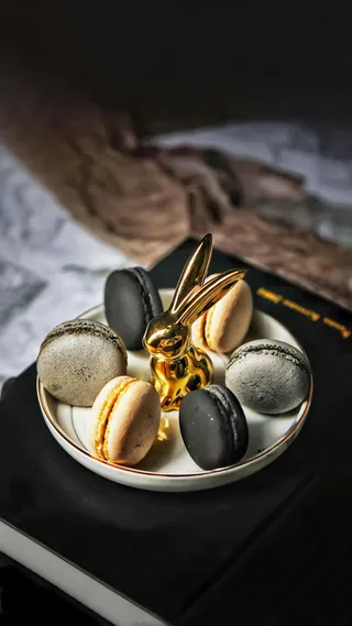 夹心饼高清摄影图片