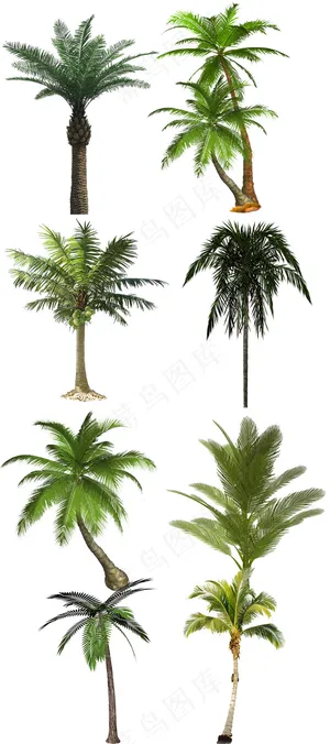 绿色海边椰子树棕榈树免抠png图片...