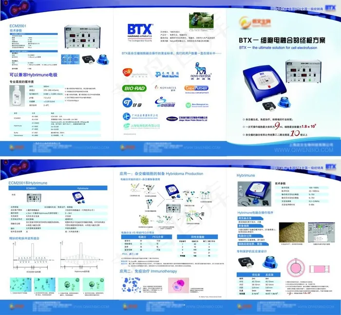 生物科技三折页ai矢量模版下载