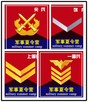 臂章贴