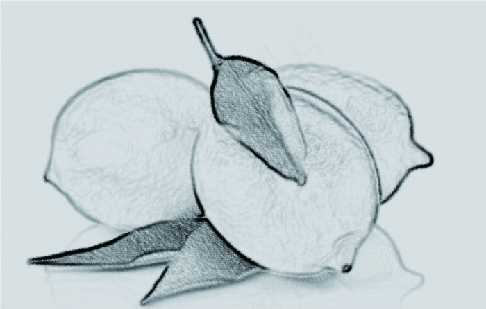 炭笔画 柠檬