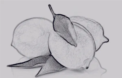 炭笔画 柠檬 炭笔画 柠檬