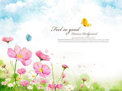 春天的花朵 春天的花朵