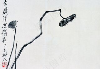 国画荷花名画 水墨图片