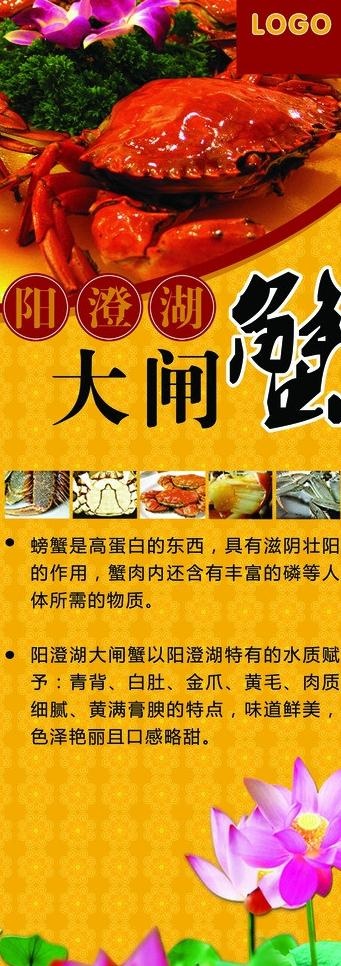大闸蟹易拉宝图片(2211X5669(DPI:72))psd模版下载