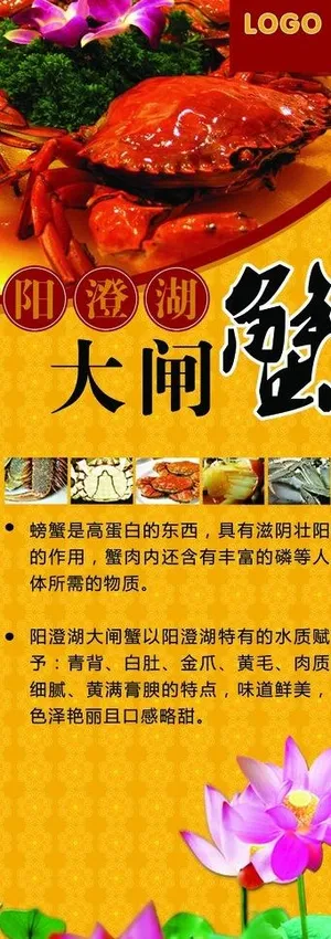 大闸蟹易拉宝图片