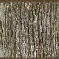 Pile of Wood一堆木材
