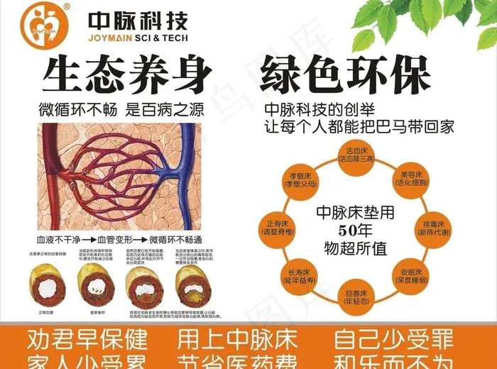 中脉微循环cdr矢量模版下载