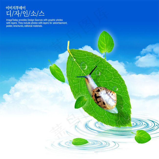 蜗牛 树叶(4000X4000(DPI:300))psd模版下载