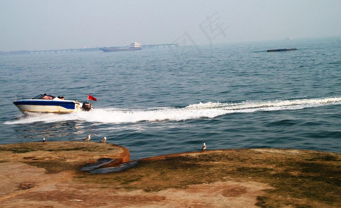 大连星海湾 游艇图片