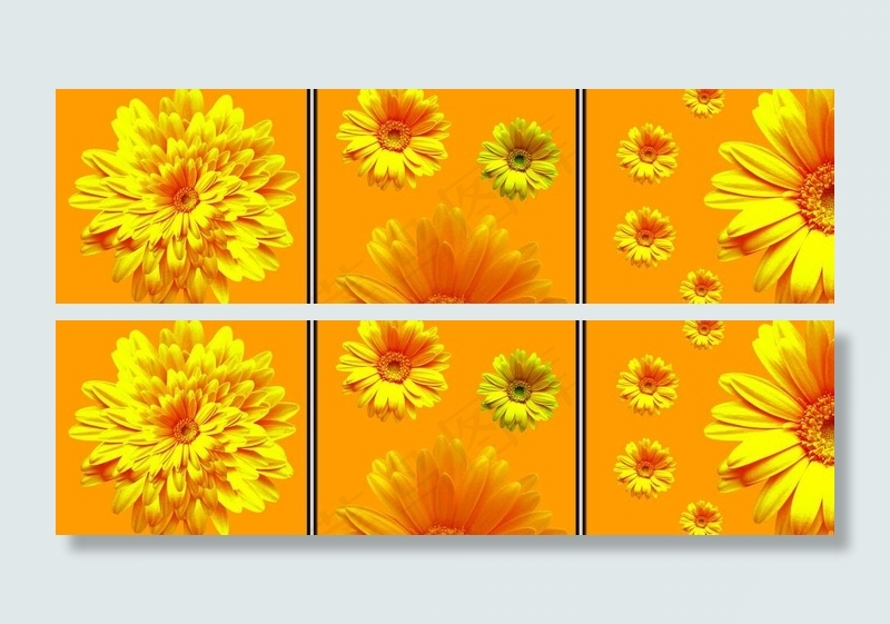 无框画菊花图片(7087X2362(DPI:300))psd模版下载