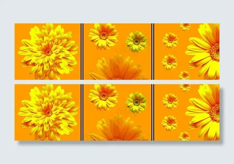 无框画菊花图片 无框画菊花图片