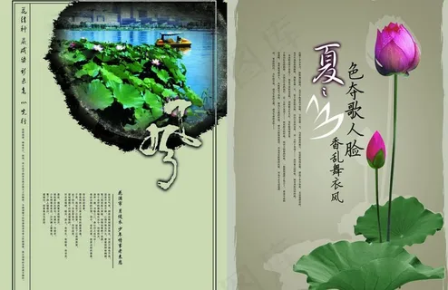 房产荷花海报图片