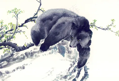 梅花猩猩 梅花猩猩