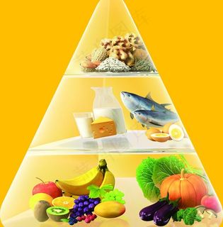 伊利儿童奶元素金字塔图片