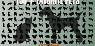 狗和猫的剪贴画