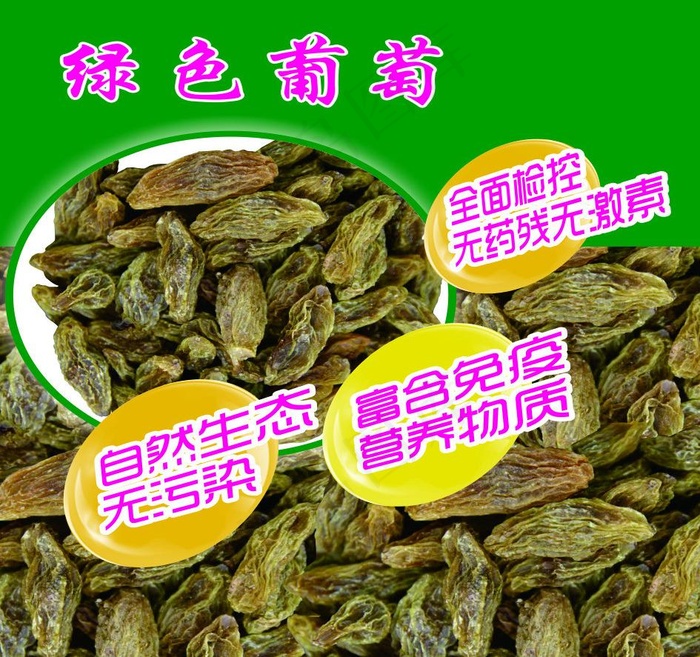 葡萄图片cdr矢量模版下载