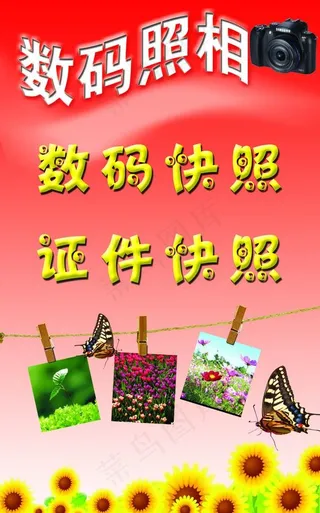 数码照相图片