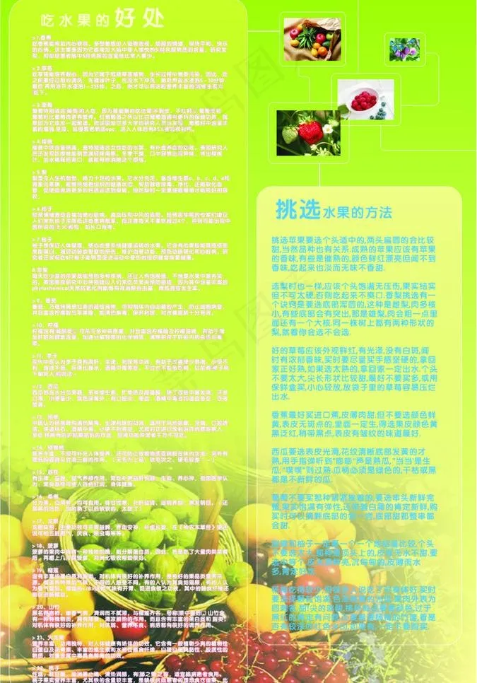 水果的功效图片cdr矢量模版下载