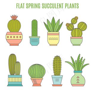 可爱的卡通多肉植物手绘植物仙人球素...