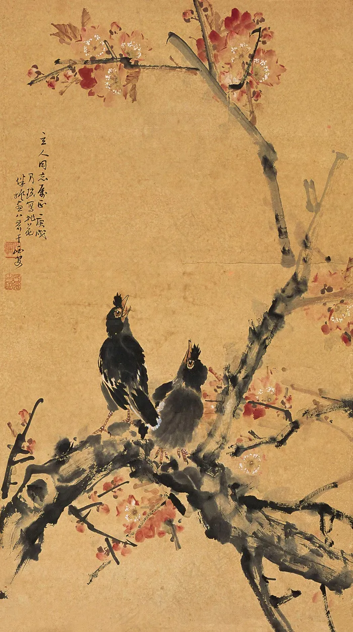 花鸟图片