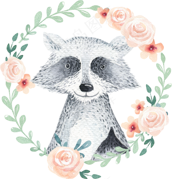 手绘小熊猫浣熊水彩画(300X447)