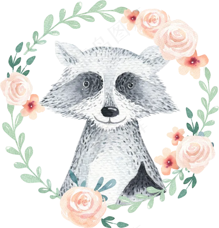 手绘小熊猫浣熊水彩画(300X447)