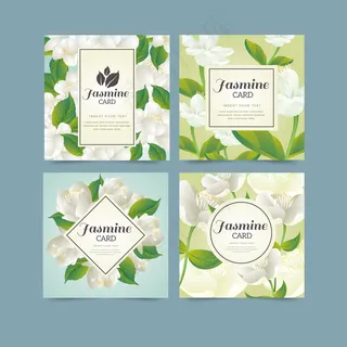 高清手绘茉莉花矢量集合